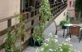 Туры в отель Villa Boutique Hotel Lime