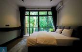 Туры в отель Forest Face Lodge