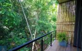 Туры в отель Forest Face Lodge