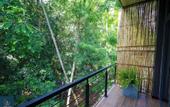 Туры в отель Forest Face Lodge