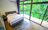 Туры в отель Forest Face Lodge