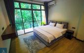 Туры в отель Forest Face Lodge