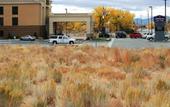 Туры в отель Hampton Inn & Suites