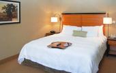Туры в отель Hampton Inn & Suites