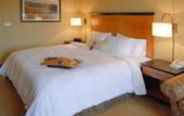 Туры в отель Hampton Inn & Suites