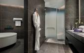 Туры в отель Crowne Plaza Shanghai Snow World by IHG