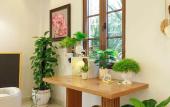 Туры в отель Lotus Home Corner & Rooftop