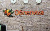 Туры в отель Oblepikha Hotel