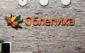 Туры в отель Oblepikha Hotel