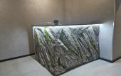 Туры в отель Buta 2 Mini hotel