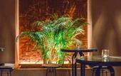 Туры в отель Roome Boutique Hotel