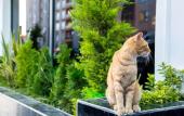 Туры в отель Grand Moon Hotel