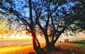 Туры в отель May House Grand World Phu Quoc