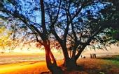 Туры в отель May House Grand World Phu Quoc