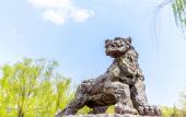Туры в отель Yulong Hotel
