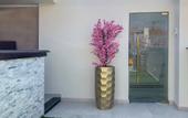 Туры в отель Rizk Pyramids View Hotel