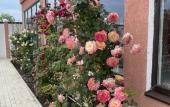 Туры в отель Briz 55 Guest house