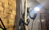 Туры в отель Recreation camp  