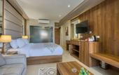 Туры в отель Nozol Pyramids Hotel