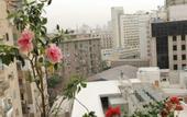 Туры в отель Champollion Hostel