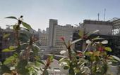 Туры в отель Champollion Hostel