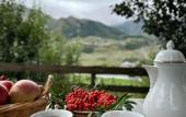 Туры в отель Hotel Axien Kazbegi