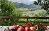 Туры в отель Hotel Axien Kazbegi
