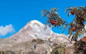 Туры в отель Hotel Axien Kazbegi
