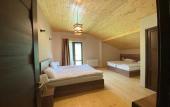 Туры в отель Hotel Axien Kazbegi