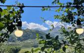 Туры в отель Hotel Axien Kazbegi