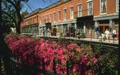 Туры в отель Hampton Inn Historic District (Южная Каролина)