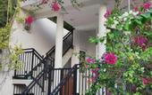 Туры в отель Flower shade villa