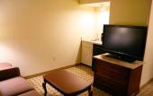 Туры в отель Hampton Inn Houston-Near The Galleria