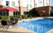 Туры в отель Hampton Inn Houston-Near The Galleria