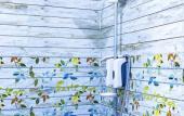 Туры в отель Onaty Ka Guest House