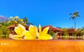 Туры в отель ABWonderdive Beach Resort