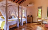 Туры в отель Sigiriya Forest Edge By Marino Leisure