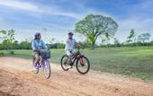 Туры в отель Sigiriya Forest Edge By Marino Leisure