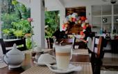 Туры в отель Kandy Rivers Edge Nature Resort
