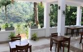 Туры в отель Kandy Rivers Edge Nature Resort
