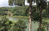 Туры в отель Kandy Rivers Edge Nature Resort