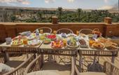 Туры в отель Taj pyramids view inn