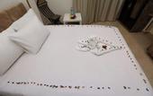 Туры в отель Taj pyramids view inn