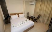 Туры в отель Taj pyramids view inn