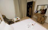 Туры в отель Taj pyramids view inn