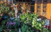 Туры в отель Erquan Inn Ancient city
