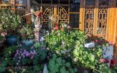Туры в отель Erquan Inn Ancient city