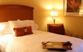 Туры в отель Hampton Inn Tropicana
