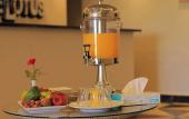 Туры в отель Blue Lotus Nile Suites Hotel Aswan