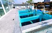 Туры в отель STARLAND Luxury Pool Villa Pattaya 8 Bedrooms